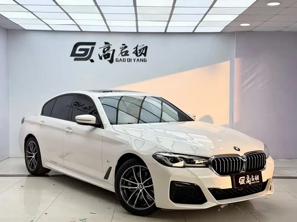 BMW 5 Series (Import) — фото 4