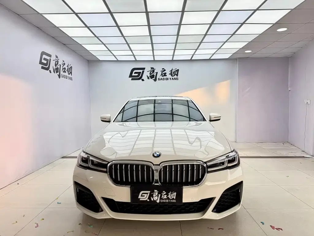 BMW 5 Series (Import) — фото 7