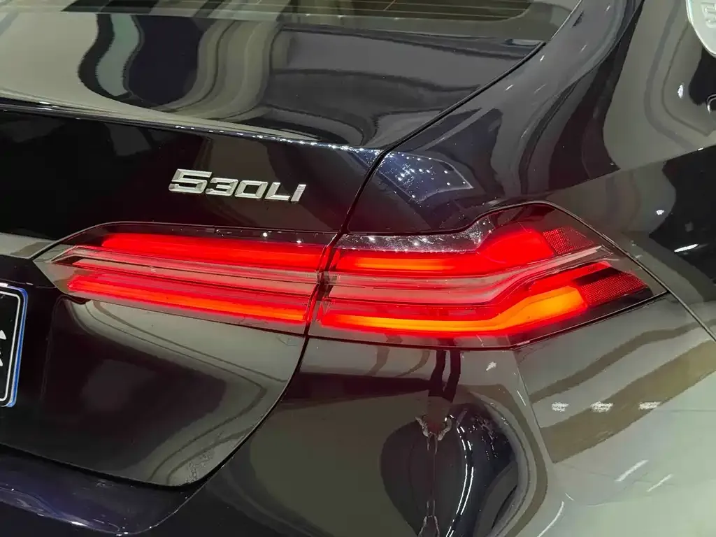 BMW 5 Series 2024 из CN, фото 5