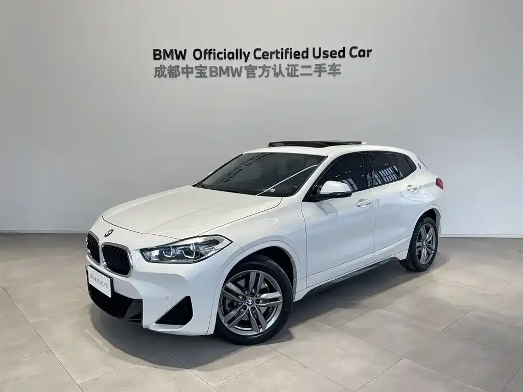 BMW X2 — фото 1