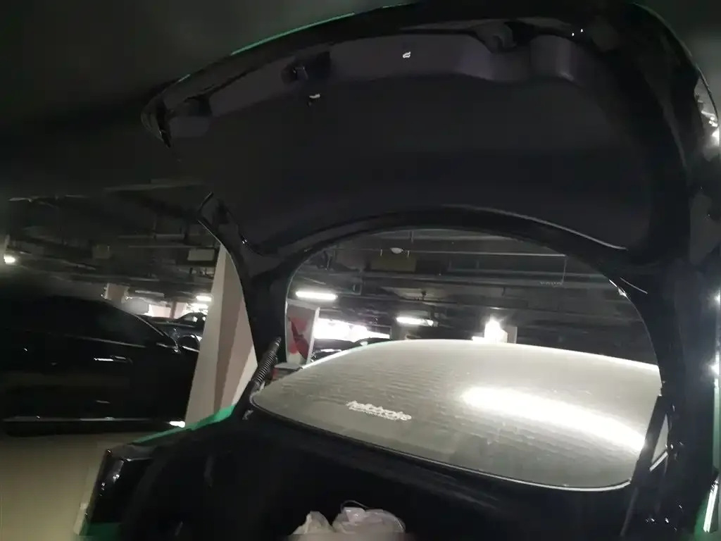Tesla Model 3 2021 из CN, фото 4