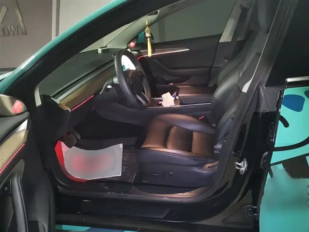 Tesla Model 3 2021 из CN, фото 6