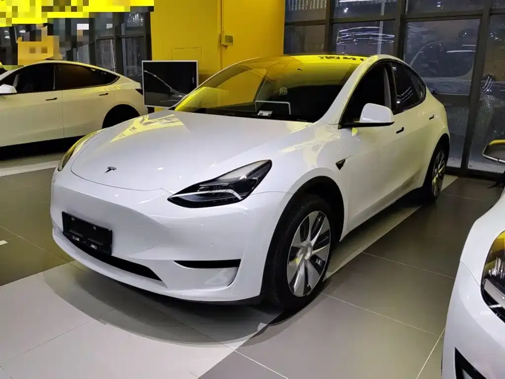 Tesla Model Y — фото 3