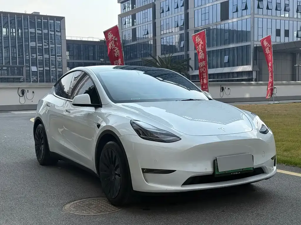 Tesla Model Y — фото 9