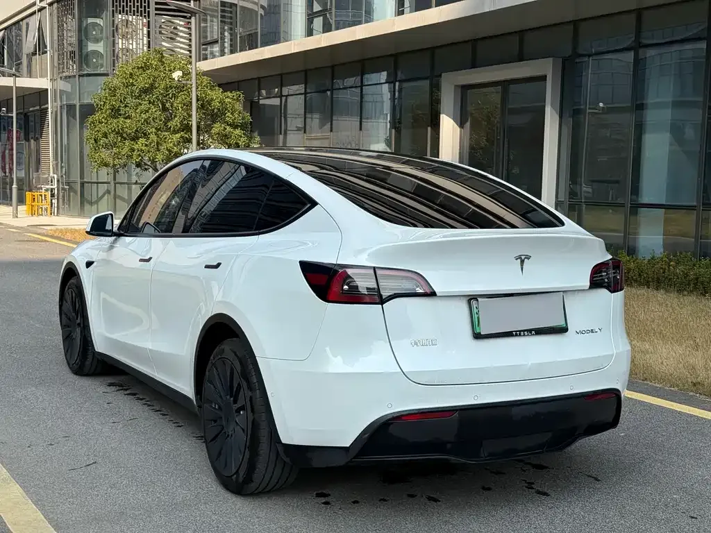 Tesla Model Y — фото 3