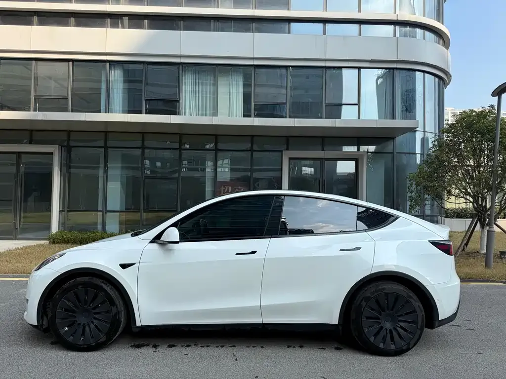 Tesla Model Y — фото 6