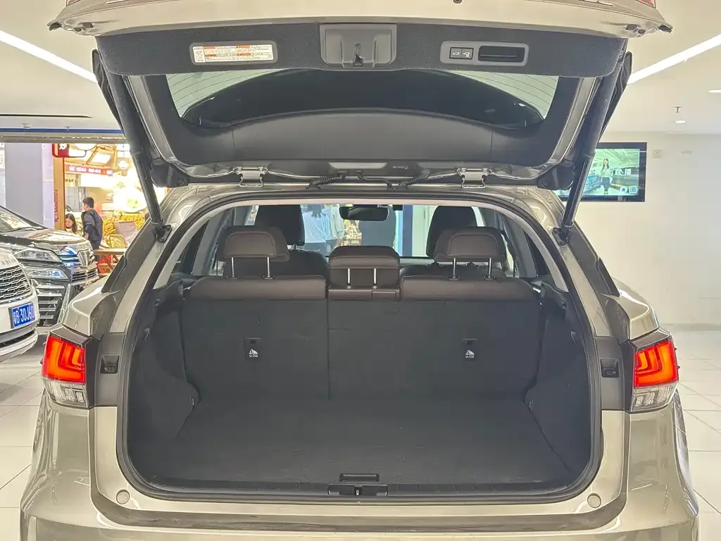 Lexus RX 2022 из CN, фото 6