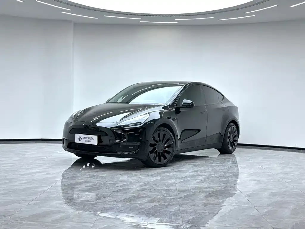 Tesla Model Y — фото 1