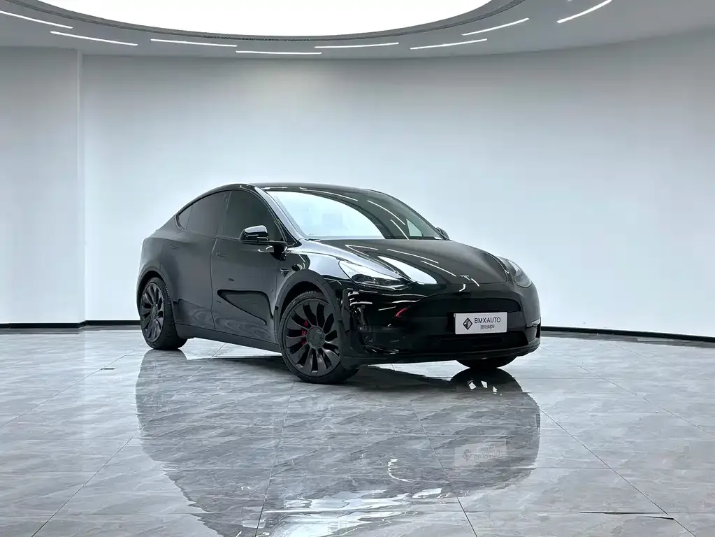 Tesla Model Y — фото 7