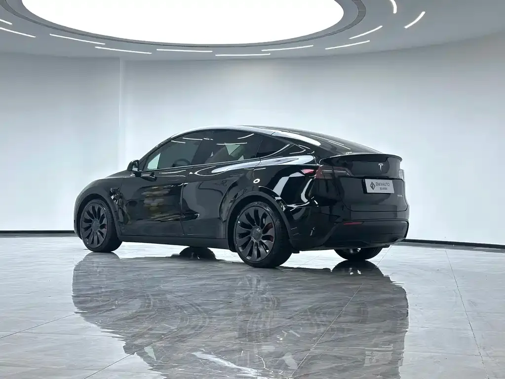 Tesla Model Y — фото 10
