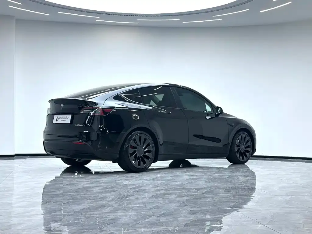 Tesla Model Y — фото 6