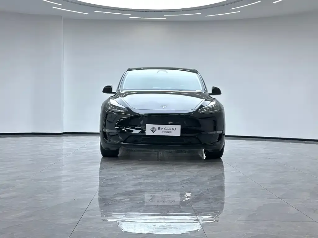 Tesla Model Y — фото 5
