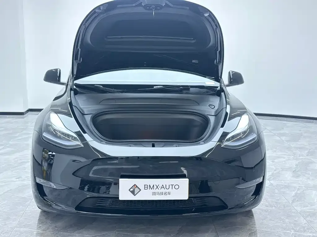 Tesla Model Y — фото 9