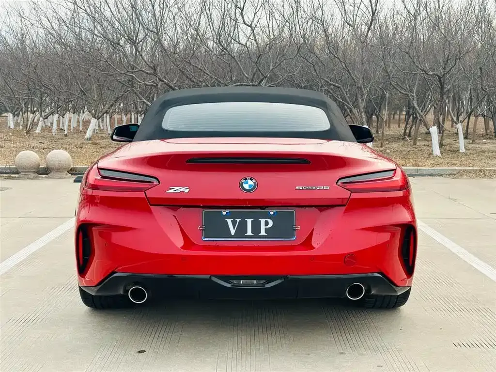 BMW Z4 2021 из CN, фото 8
