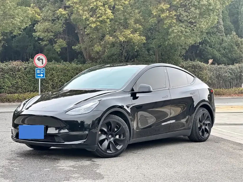Tesla Model Y 2022 из CN, фото 1