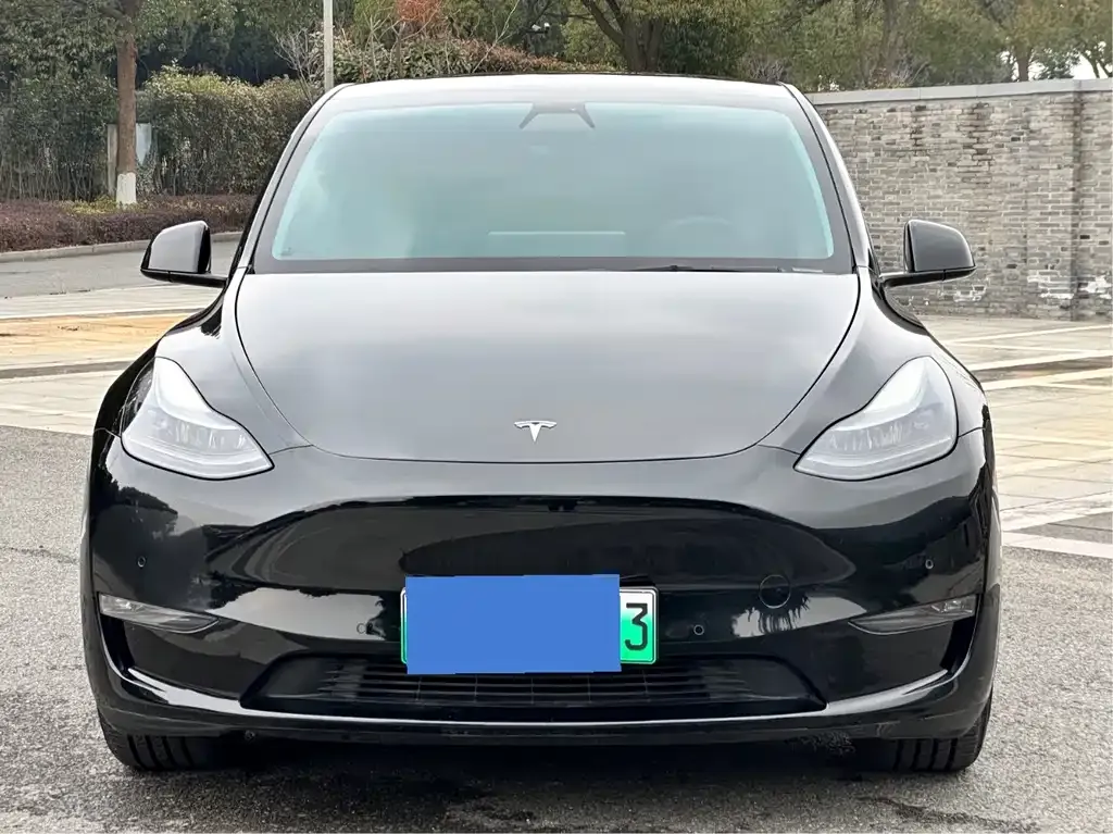 Tesla Model Y 2022 из CN, фото 3
