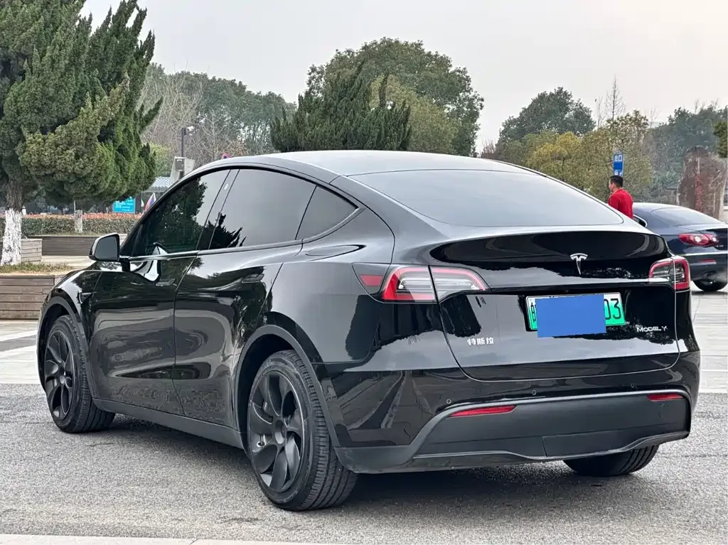 Tesla Model Y 2022 из CN, фото 6