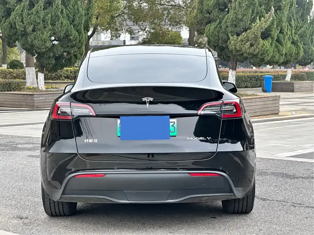 Tesla Model Y 2022 из CN, фото 9