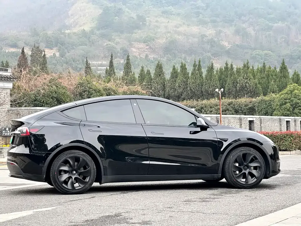 Tesla Model Y 2022 из CN, фото 7