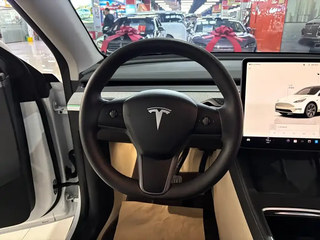 Tesla Model Y 2024 из CN, фото 4
