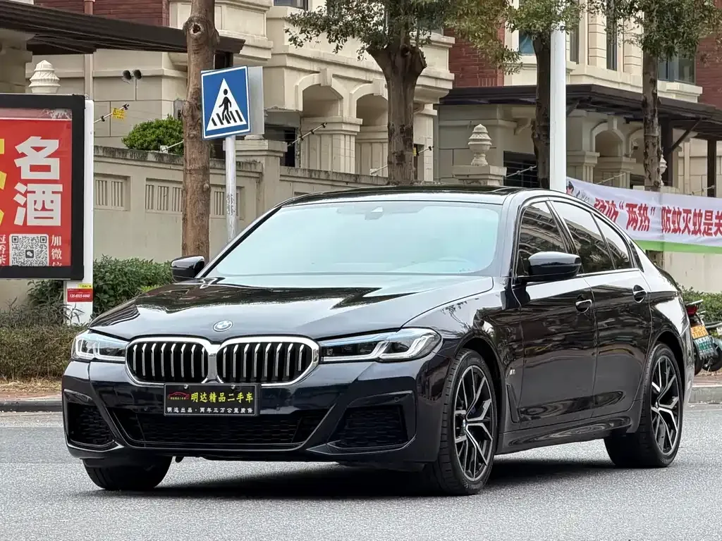 BMW 5 Series (Import) 2021 из CN, фото 1