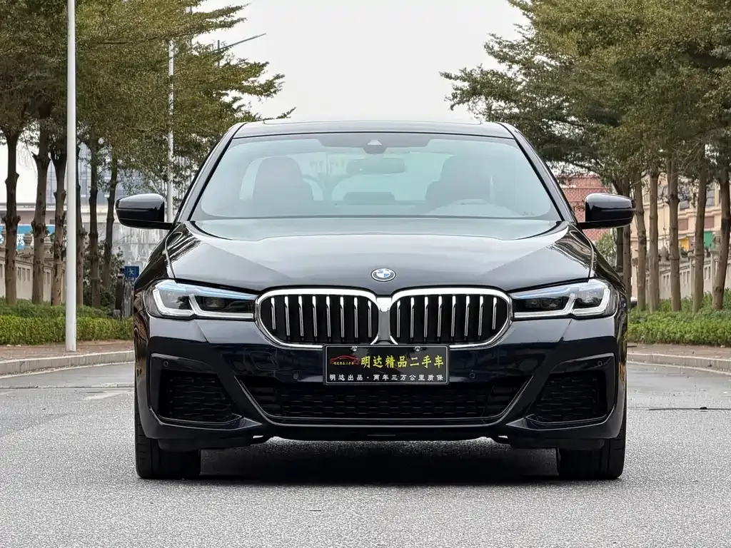 BMW 5 Series (Import) 2021 из CN, фото 3