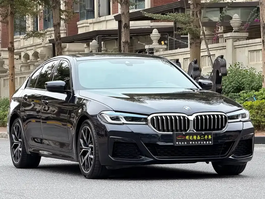 BMW 5 Series (Import) 2021 из CN, фото 10