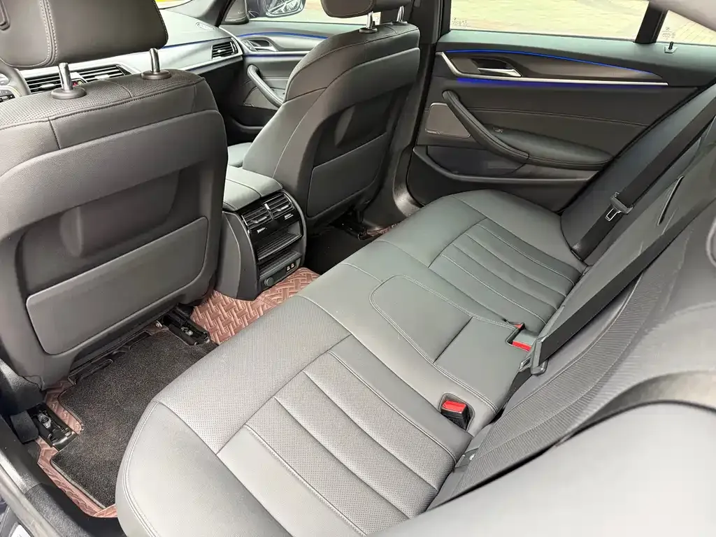 BMW 5 Series (Import) 2021 из CN, фото 8