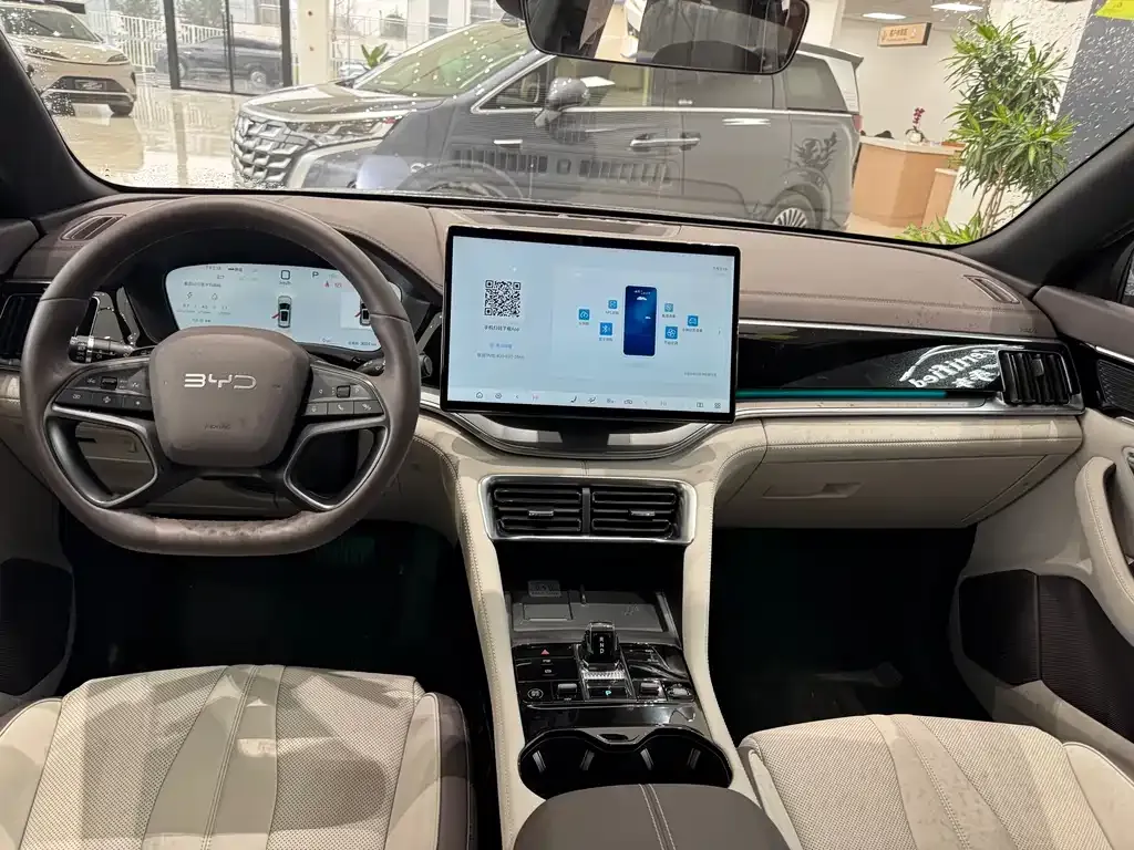 BYD PLUS New Energy — фото 10