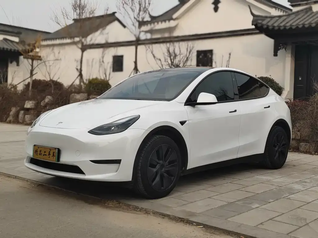 Tesla Model Y — фото 1