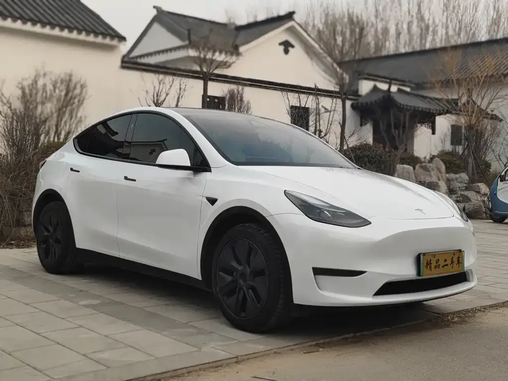 Tesla Model Y — фото 9