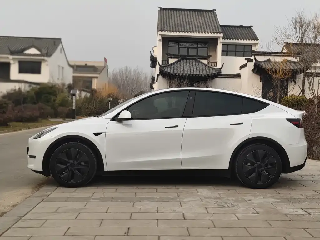Tesla Model Y — фото 10