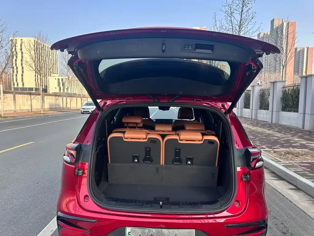 BYD Tang New Energy 2023 из CN, фото 2