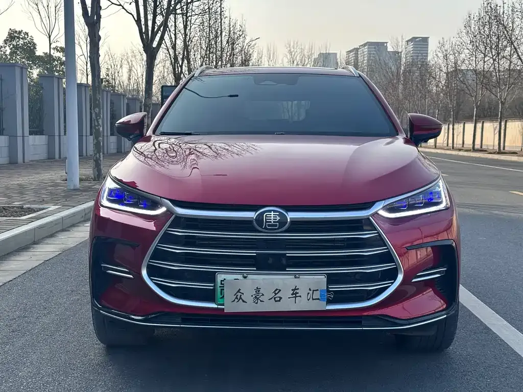 BYD Tang New Energy 2023 из CN, фото 6