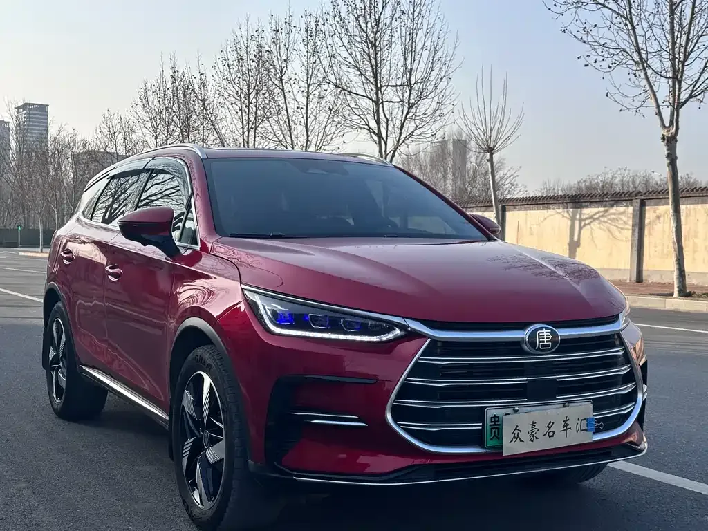 BYD Tang New Energy 2023 из CN, фото 7