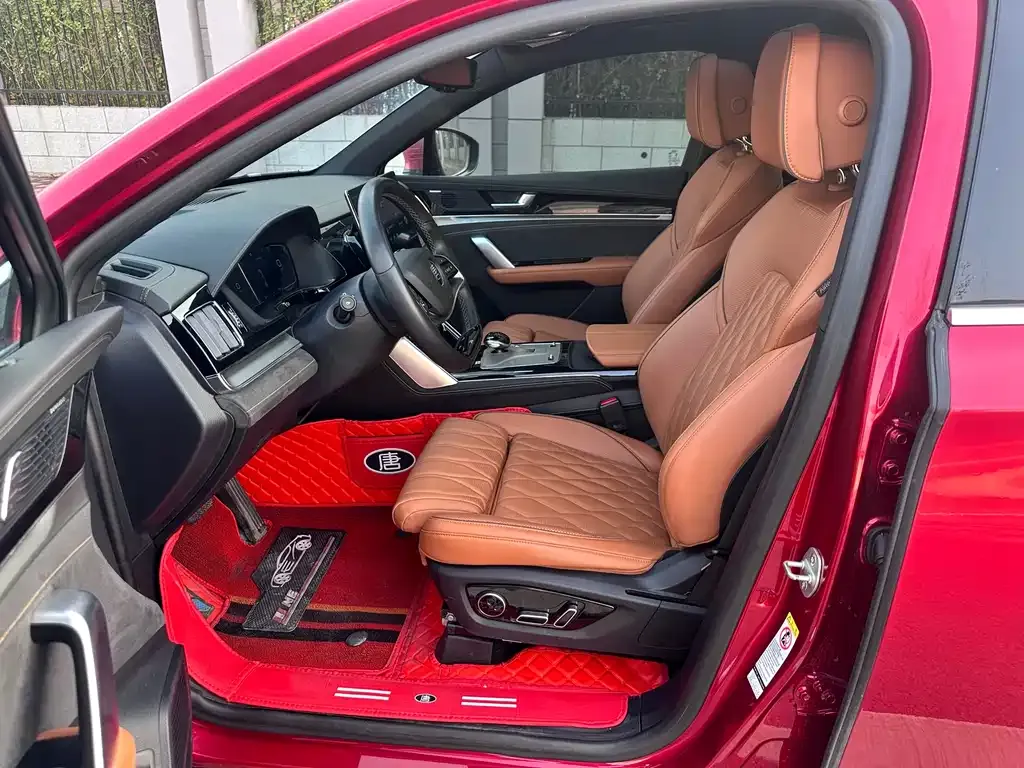 BYD Tang New Energy 2023 из CN, фото 9