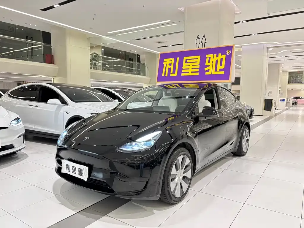 Tesla Model Y 2022 из CN, фото 1