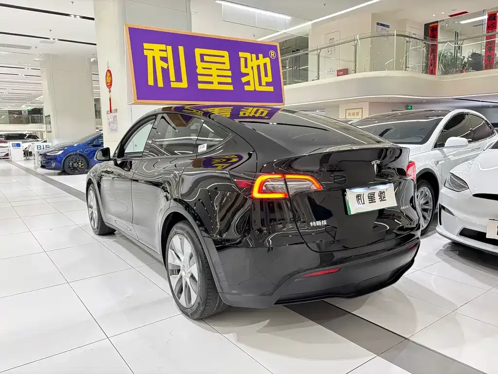 Tesla Model Y 2022 из CN, фото 6