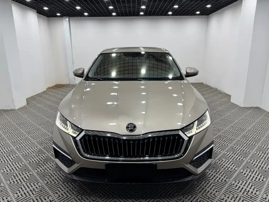 Skoda Octavia 2022 из CN, фото 1