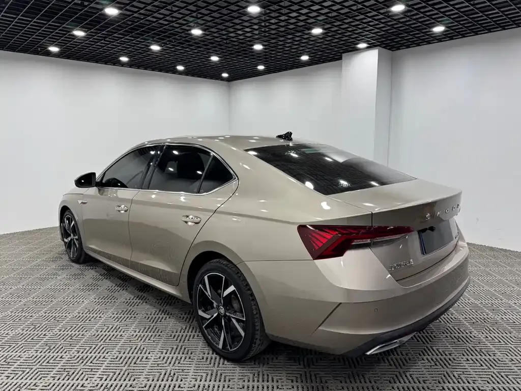 Skoda Octavia 2022 из CN, фото 7