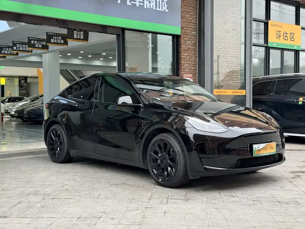 Tesla Model Y 2023 из CN, фото 7