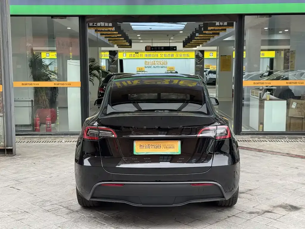 Tesla Model Y 2023 из CN, фото 6