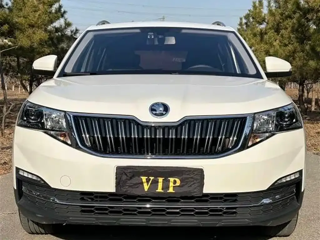 Skoda Kamiq 2021 из CN, фото 1
