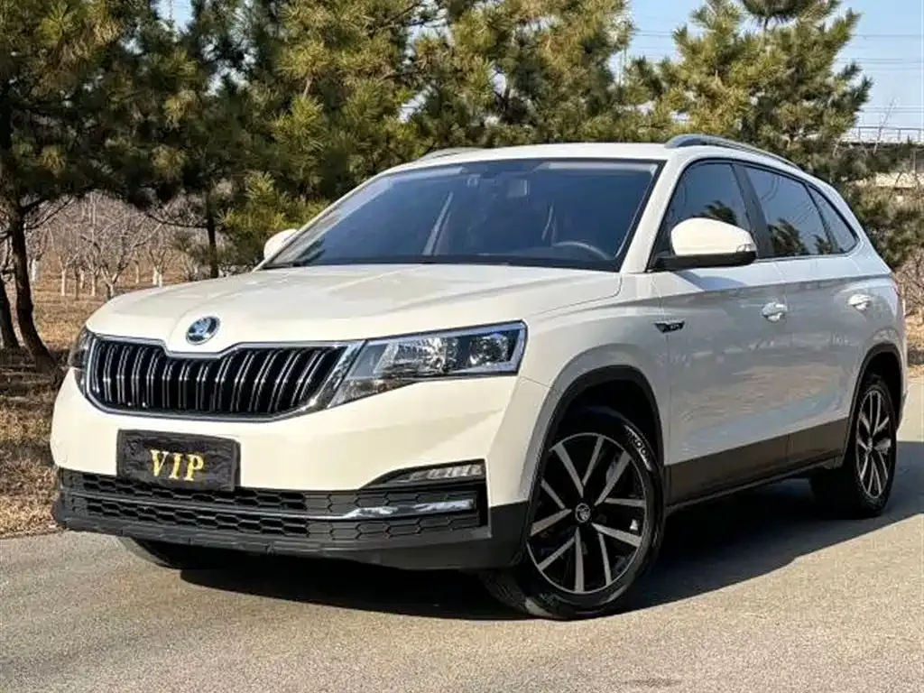 Skoda Kamiq 2021 из CN, фото 6