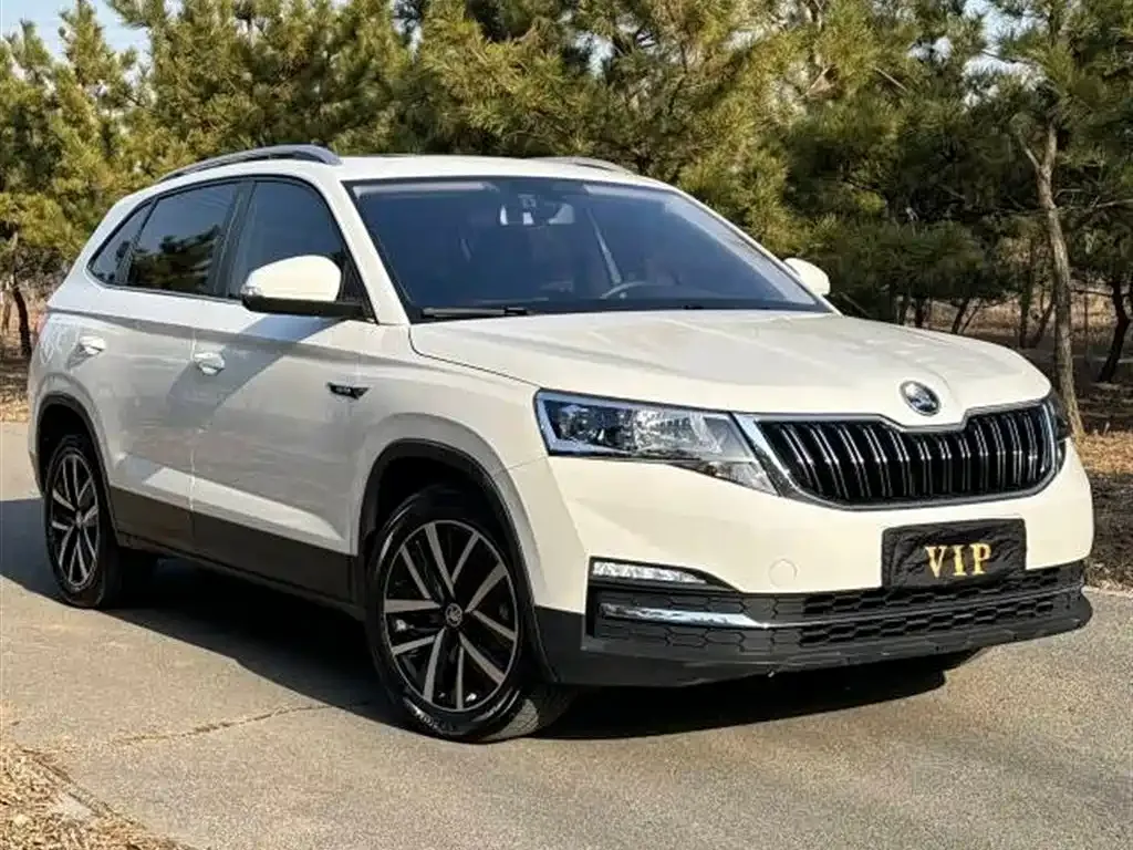 Skoda Kamiq 2021 из CN, фото 9