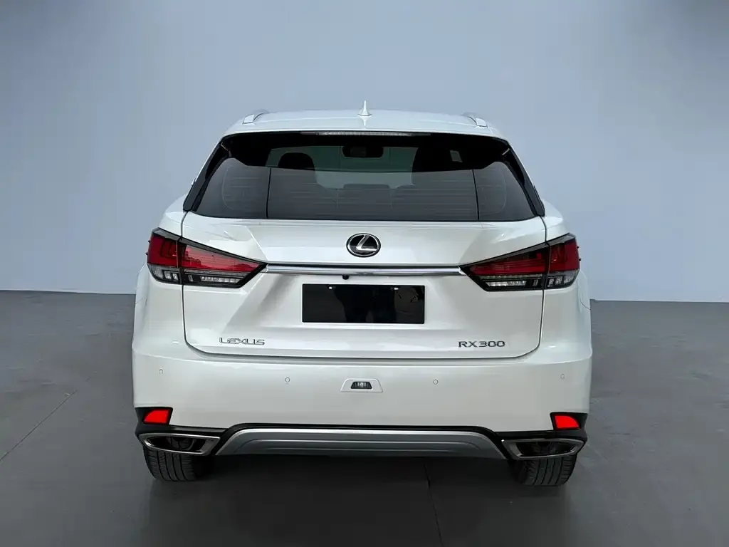 Lexus RX 2021 из CN, фото 4