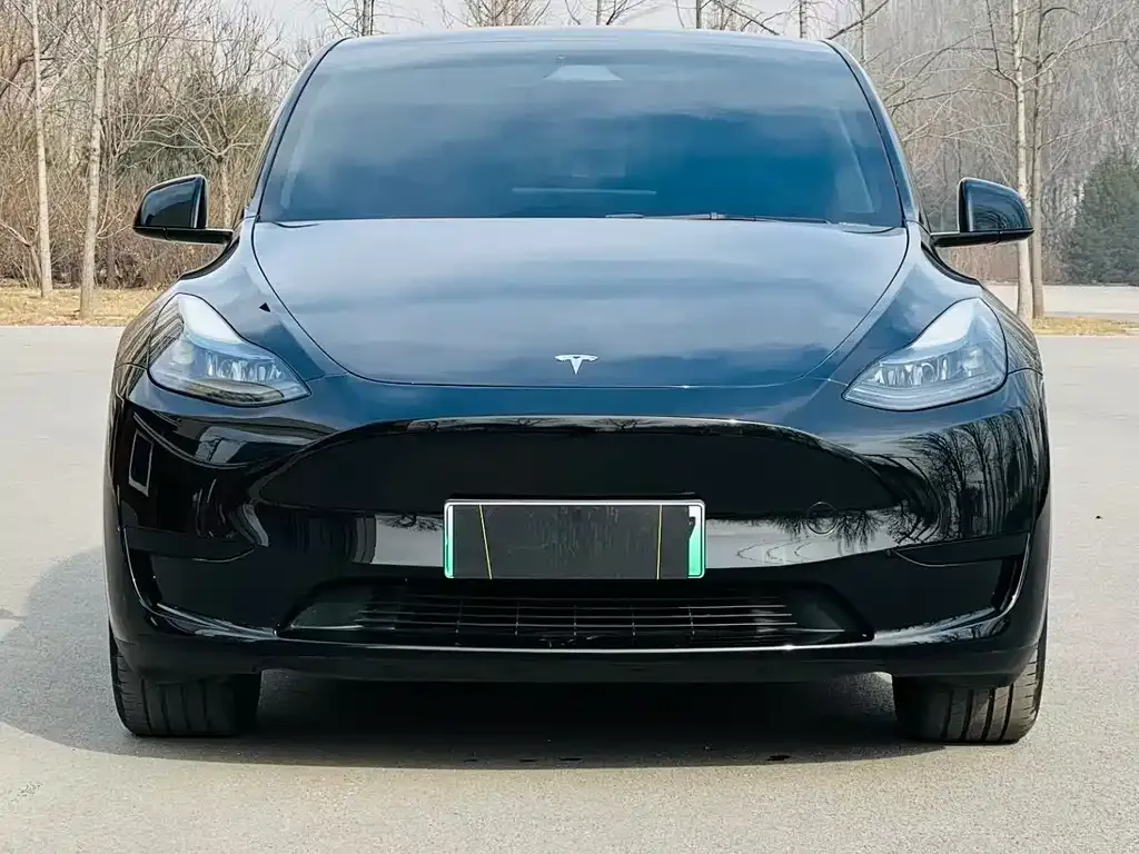 Tesla Model Y 2024 из CN, фото 6
