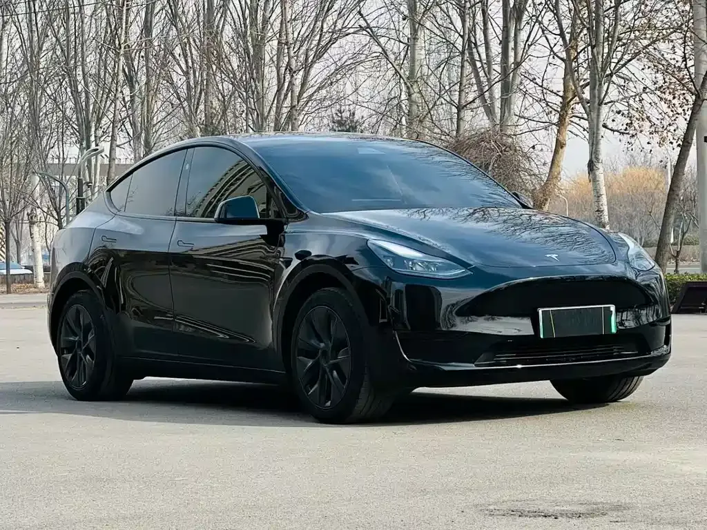 Tesla Model Y 2024 из CN, фото 7