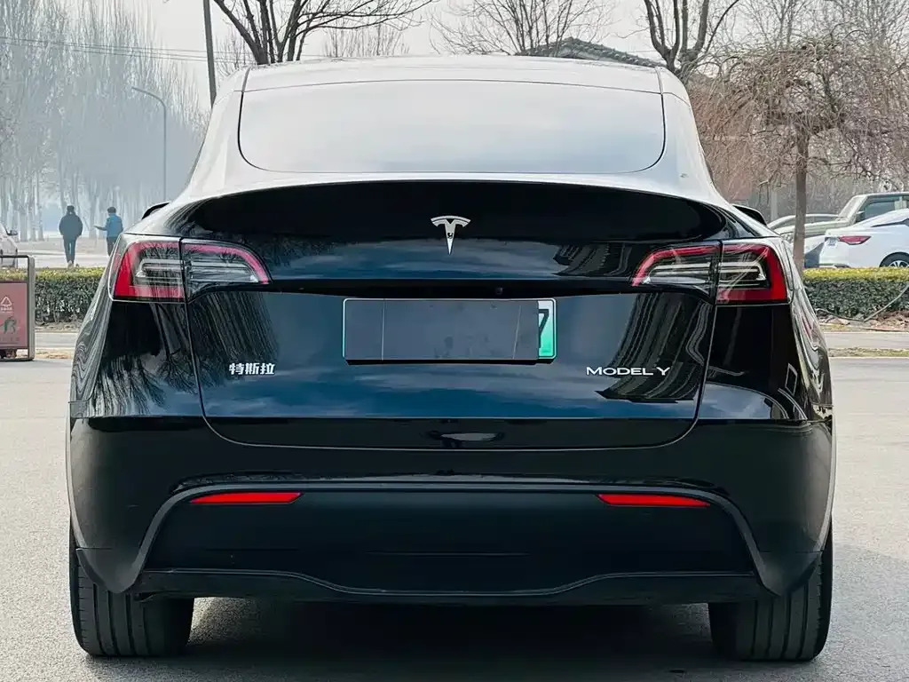 Tesla Model Y 2024 из CN, фото 5