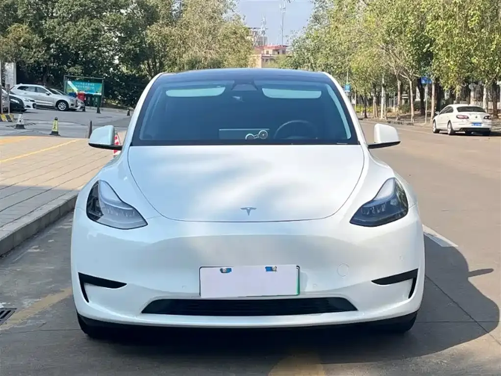 Tesla Model Y 2022 из CN, фото 1